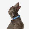 KRBOBO COLLAR