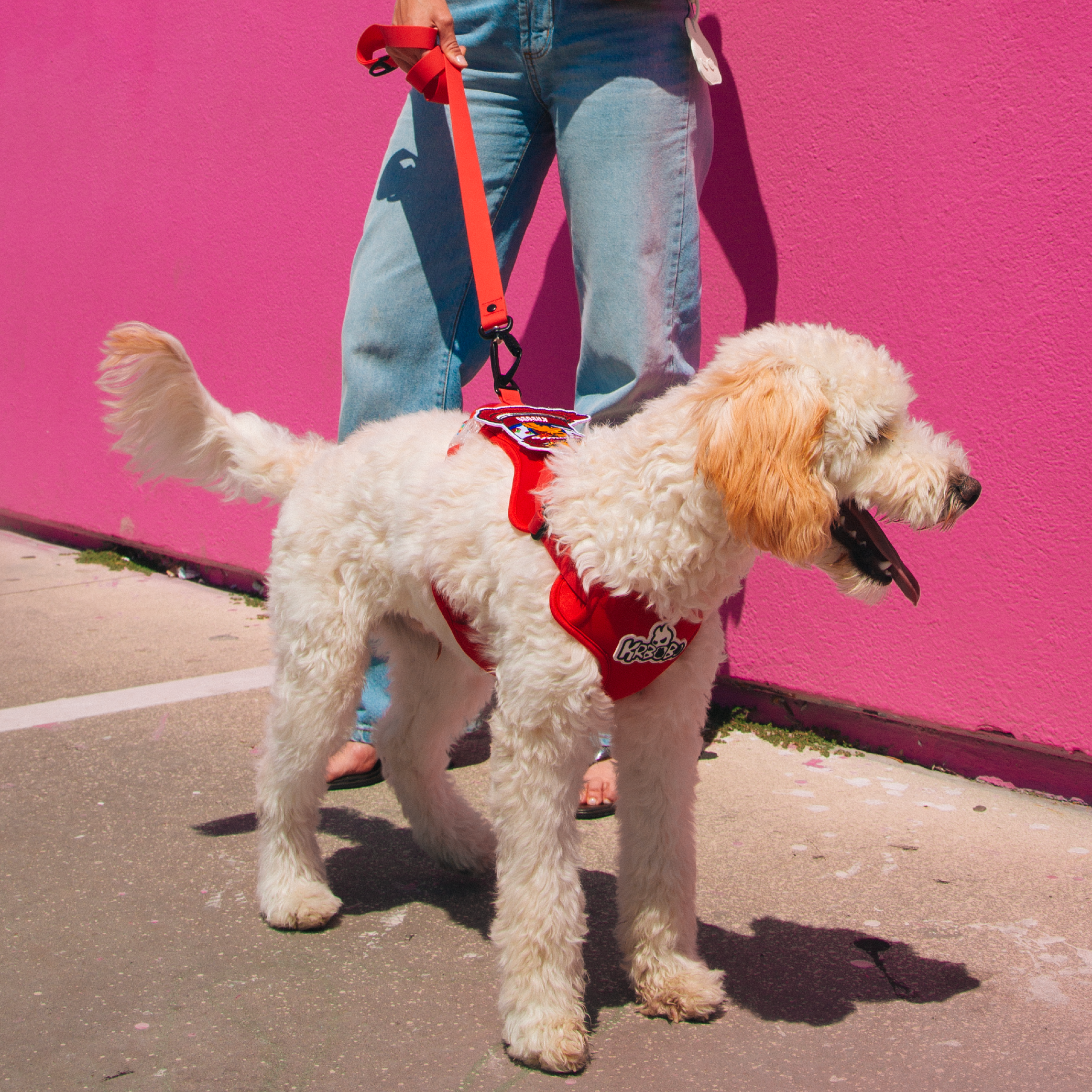 CLASSIC LEASH