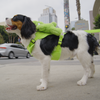 BOBO WALK KIT
