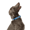 KRBOBO COLLAR