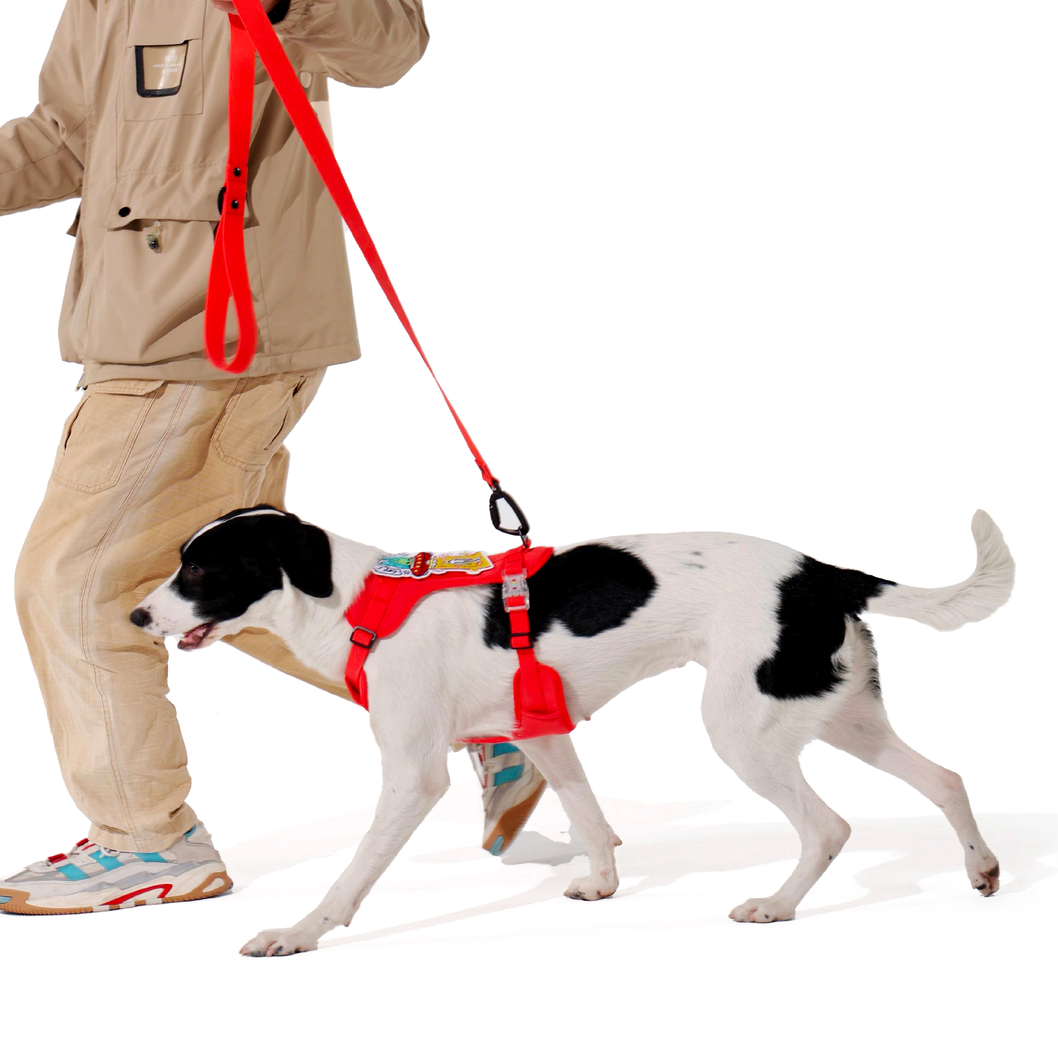 CLASSIC LEASH