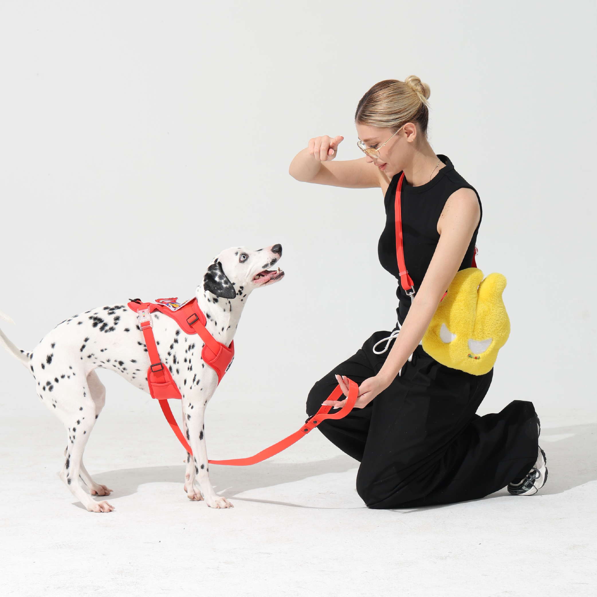 KRBOBO FRISBEE BAG