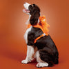 BOBO WALK KIT