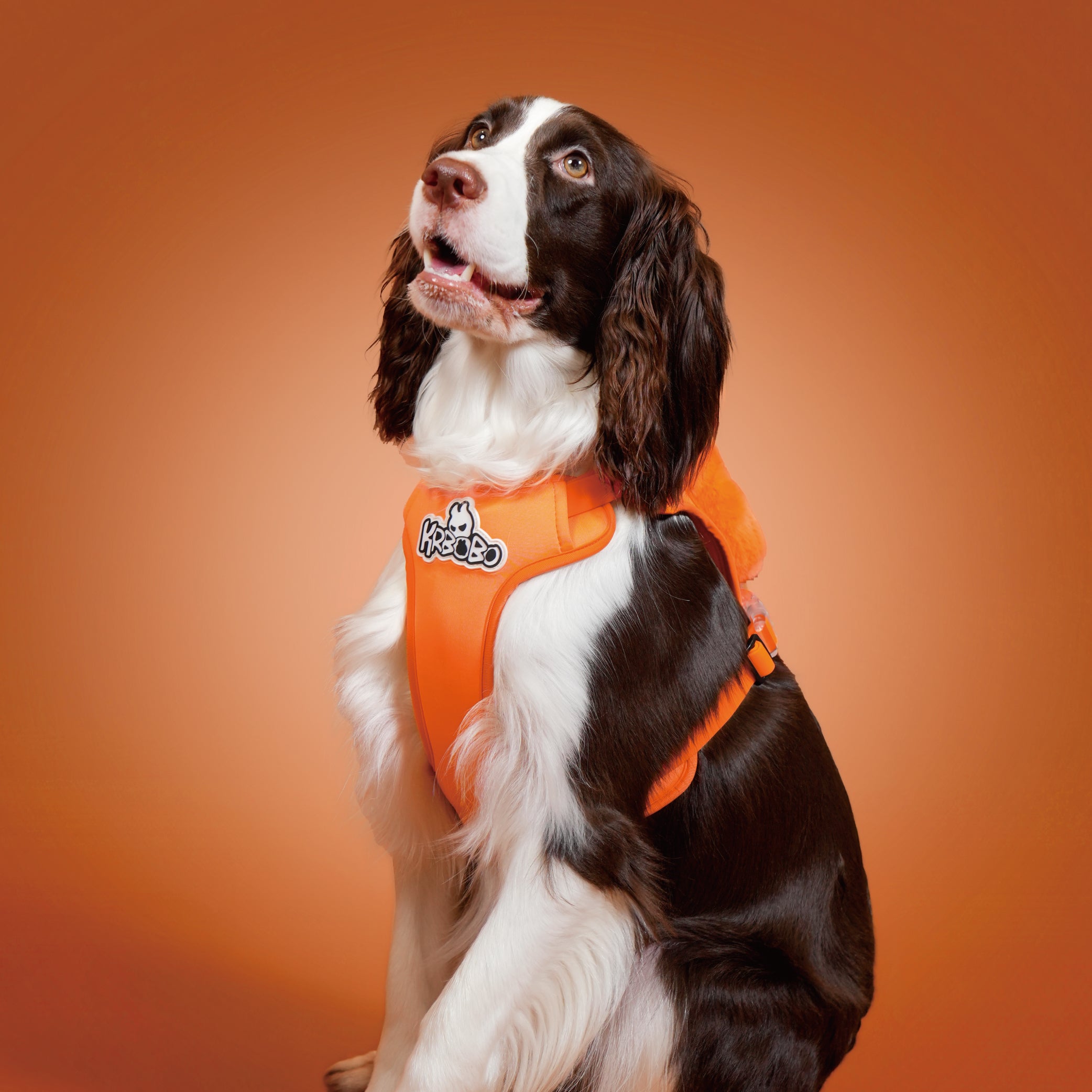 KRBOBO HARNESS