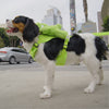 DOG'S BAG