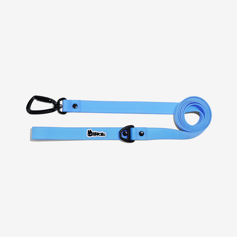 CLASSIC LEASH