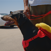 FRISBEE WALK KIT