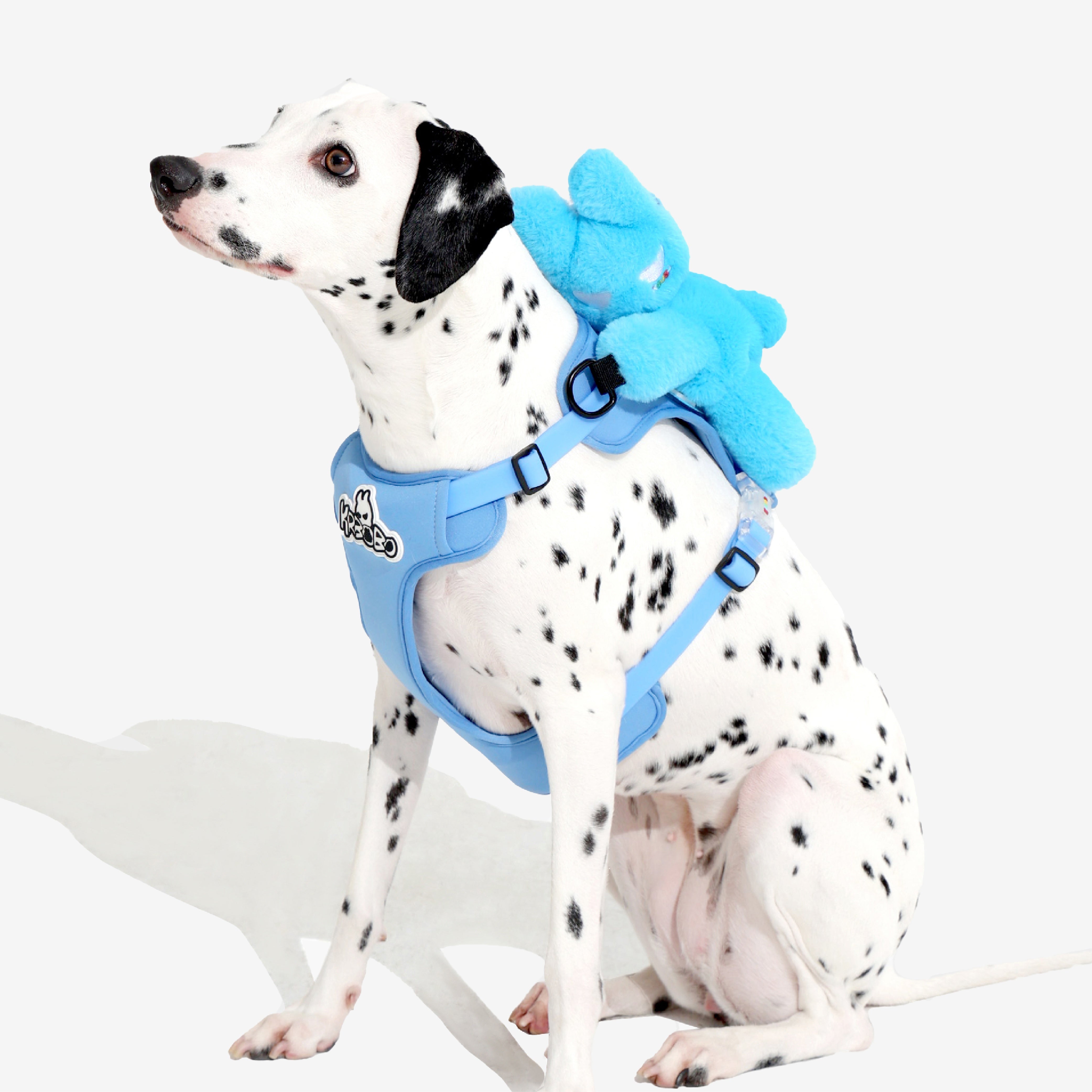 DOG'S BAG