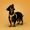 KRBOBO THERMAL TRAIL Harness