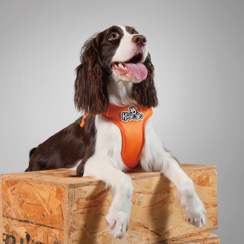KRBOBO HARNESS