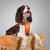 KRBOBO HARNESS