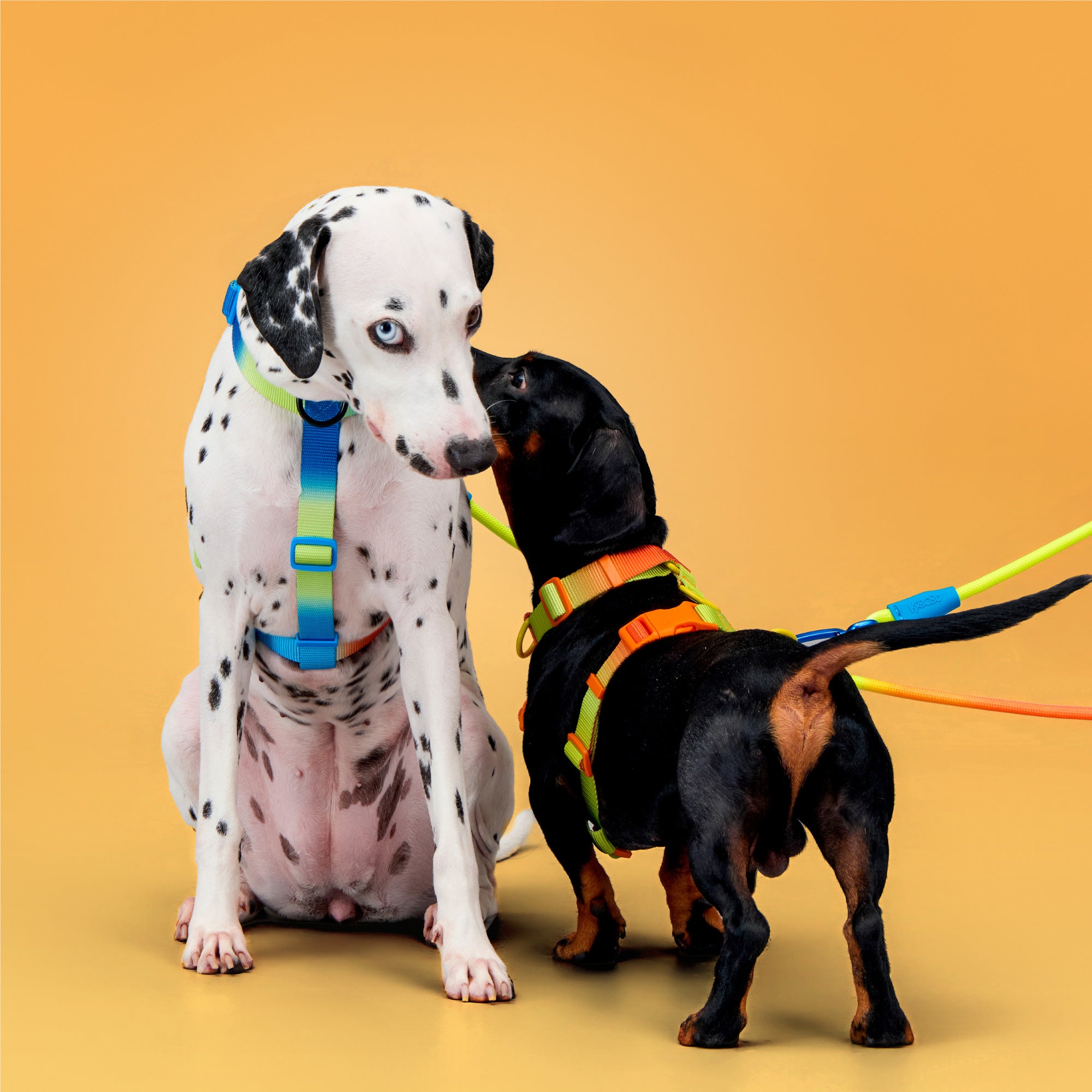 KRBOBO THERMAL TRAIL Harness