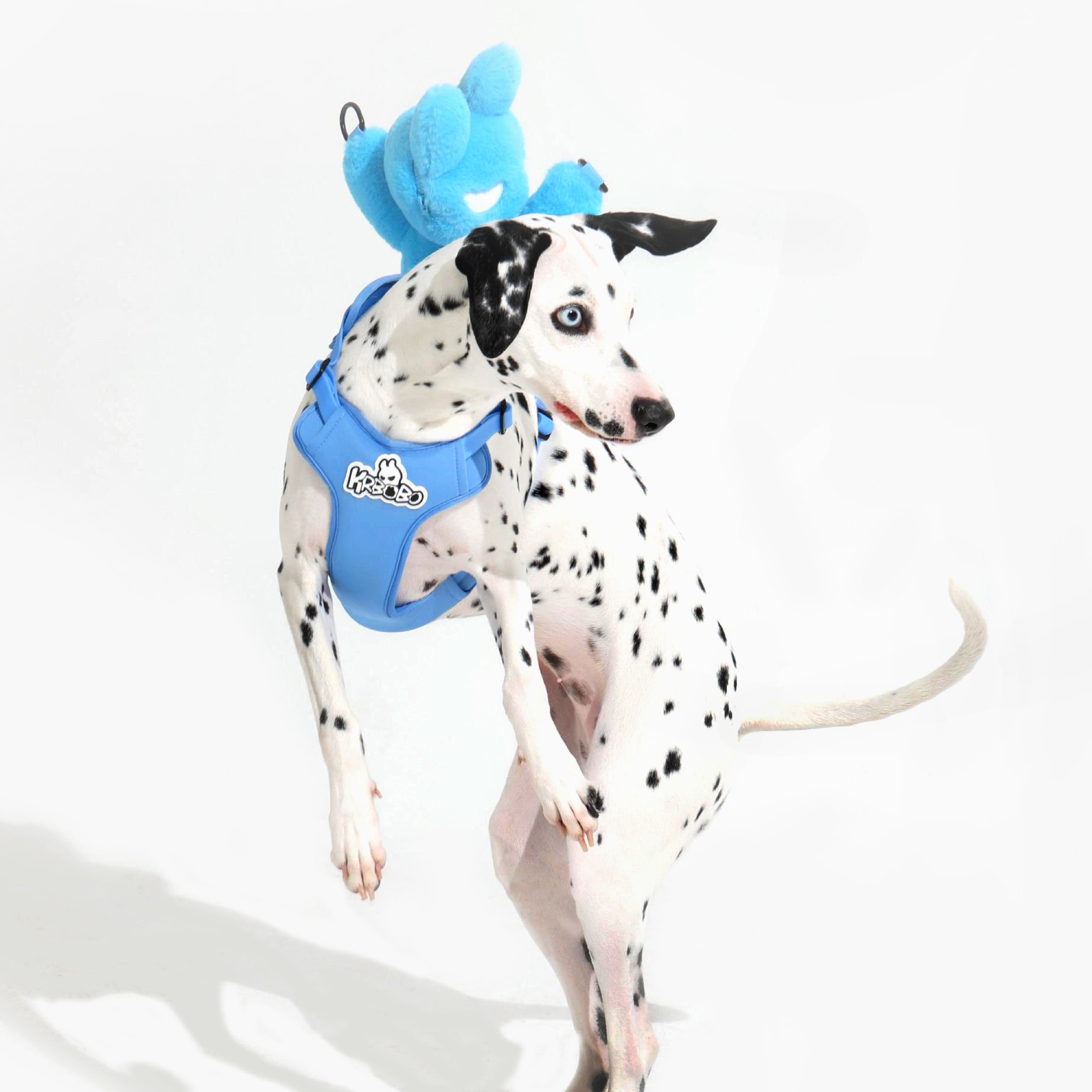 DOG'S BAG