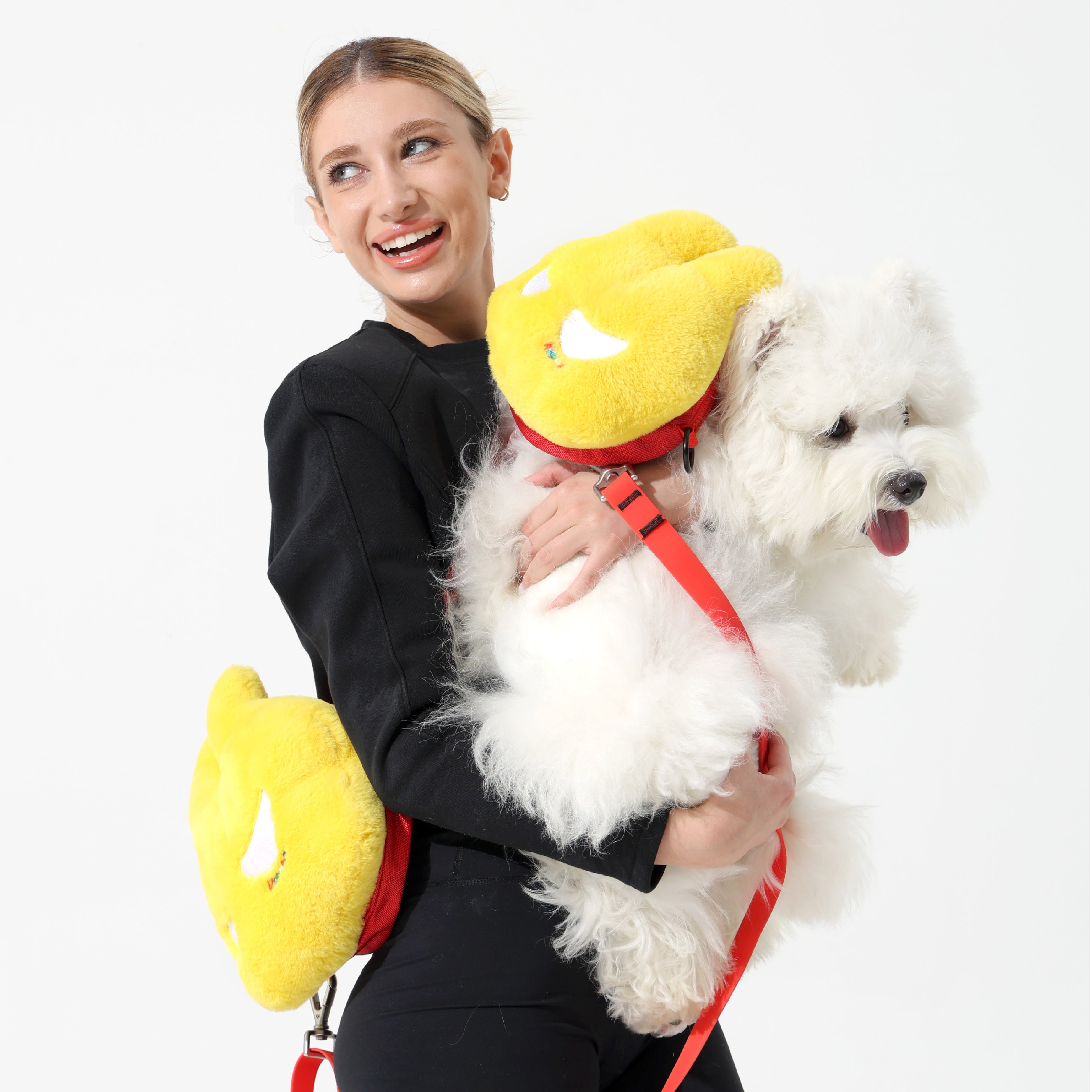  DOG'S BAG