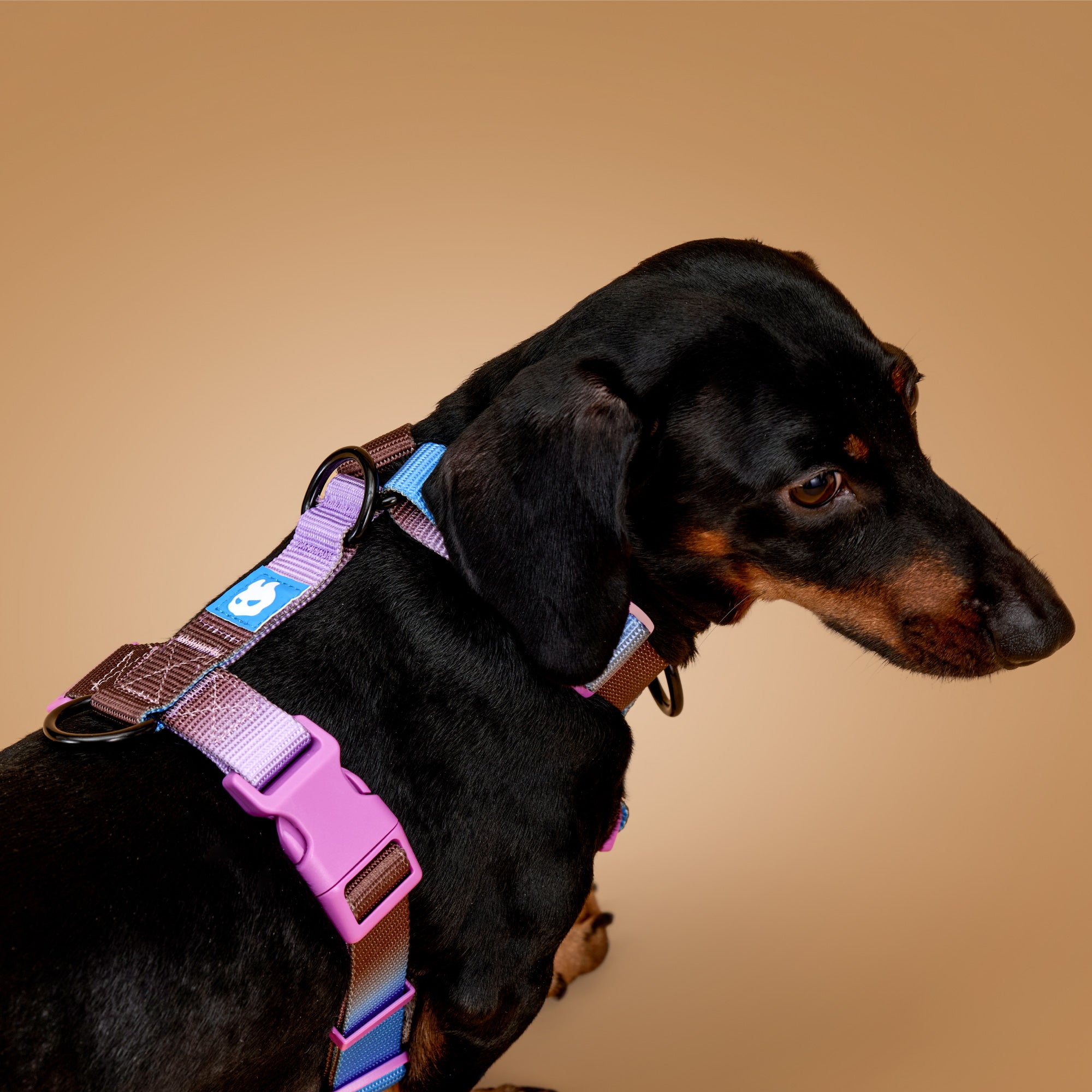 KRBOBO THERMAL TRAIL Harness