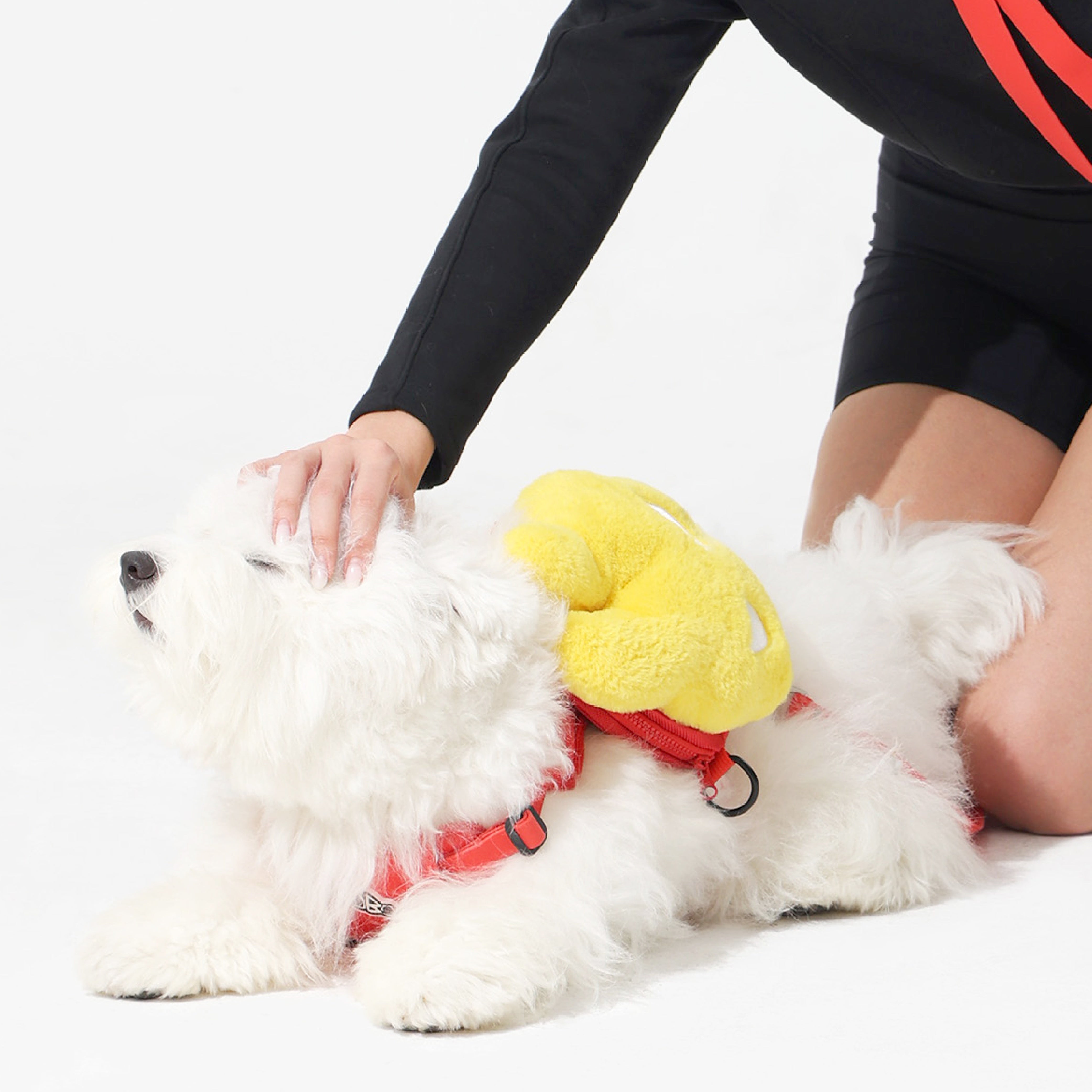 DOG'S BAG