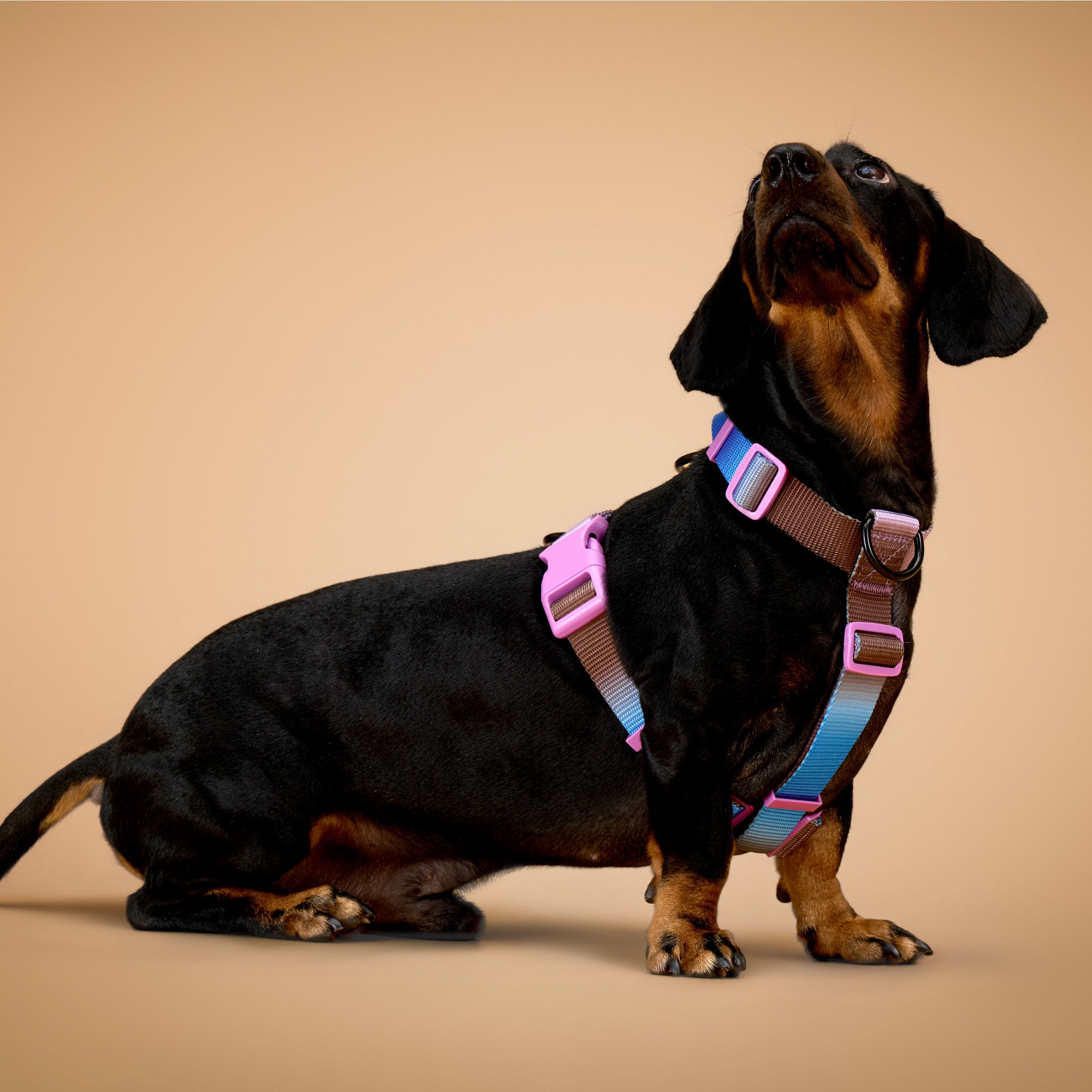 KRBOBO THERMAL TRAIL Harness