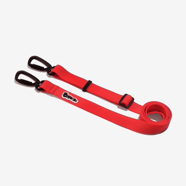 MULTIFUNCTIONAL LEASH
