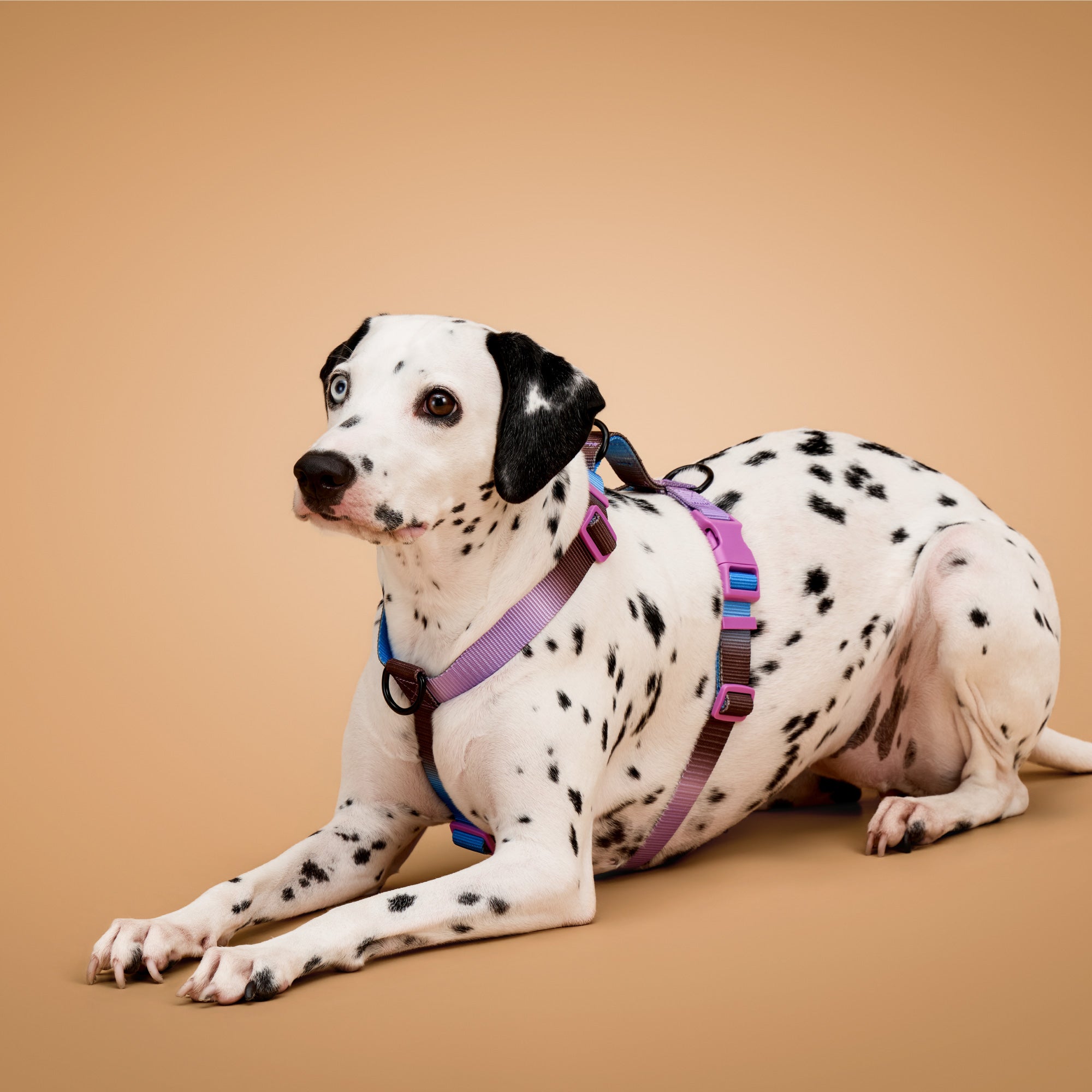 KRBOBO THERMAL TRAIL Harness