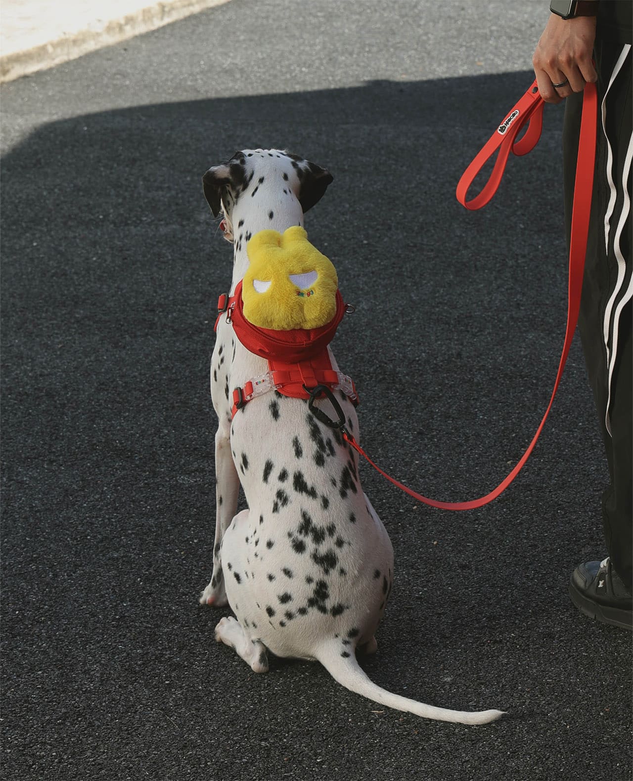 Bobo Doll Bag