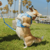 BOBO WALK KIT