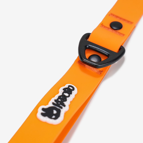 CLASSIC LEASH