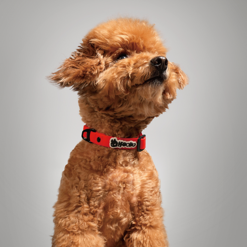KRBOBO COLLAR