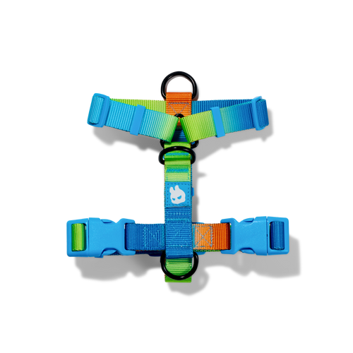 H-HARNESS