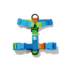 H-HARNESS
