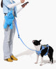EXTENSION LEASH