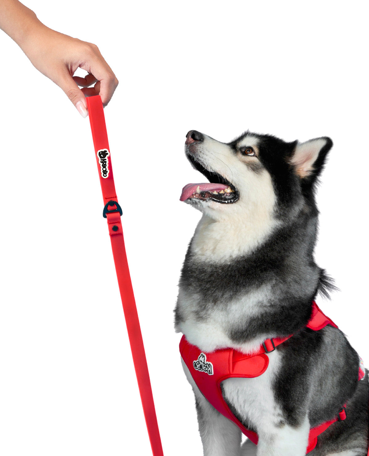 KRBOBO LEASH