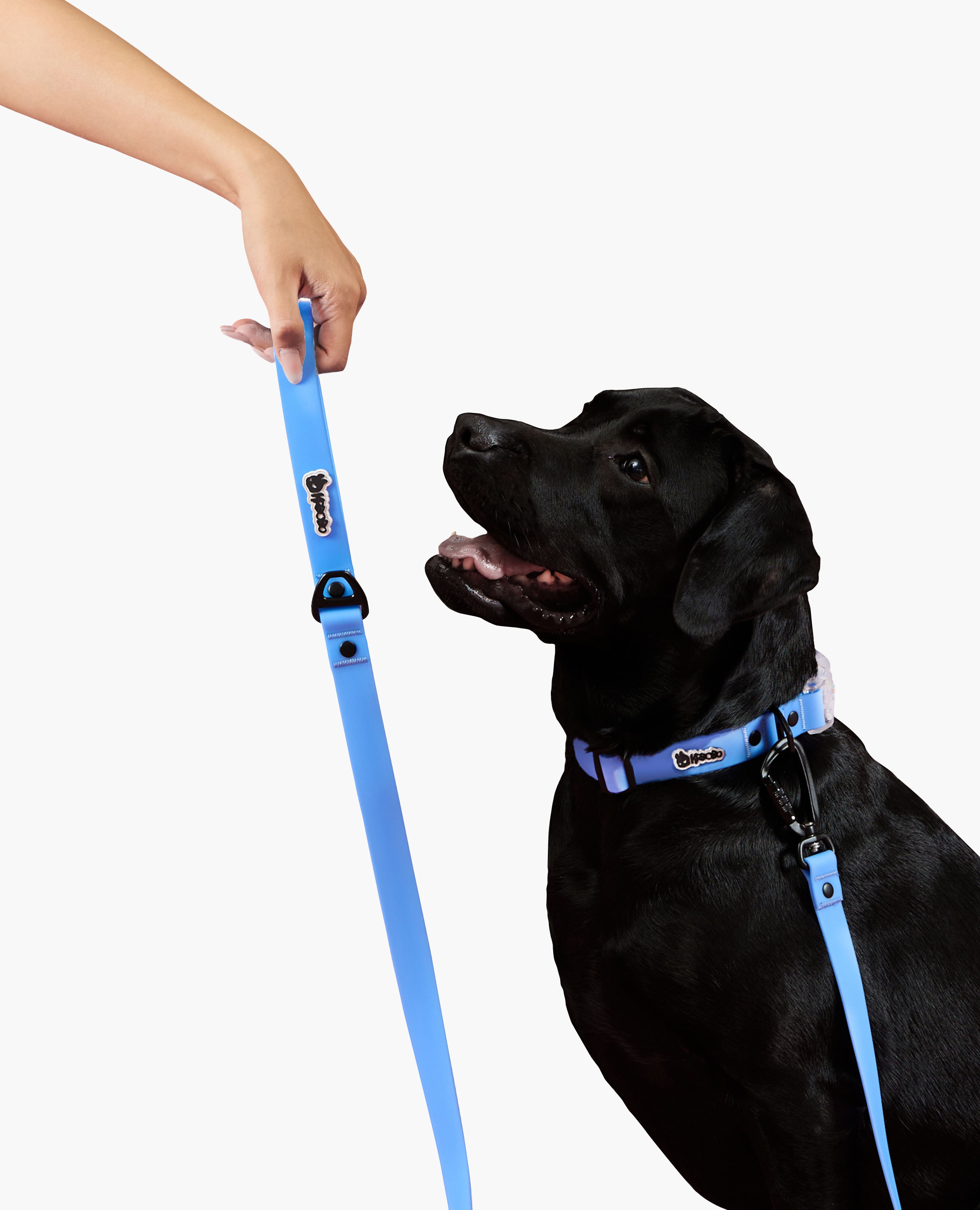 KRBOBO LEASH