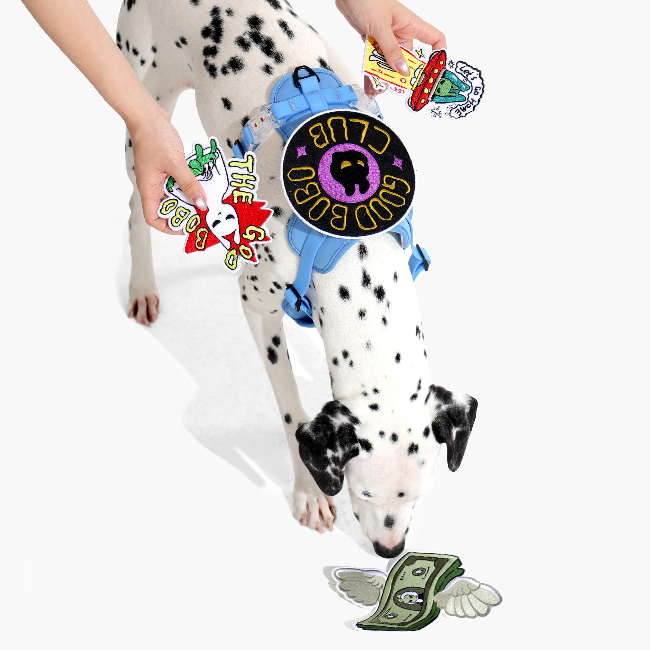 ON-THE-GO WALK KIT