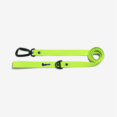 CLASSIC LEASH