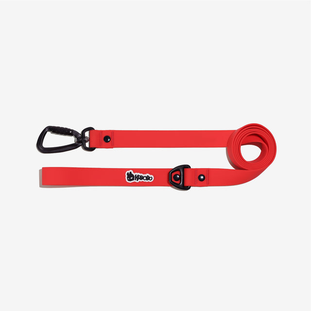 CLASSIC LEASH