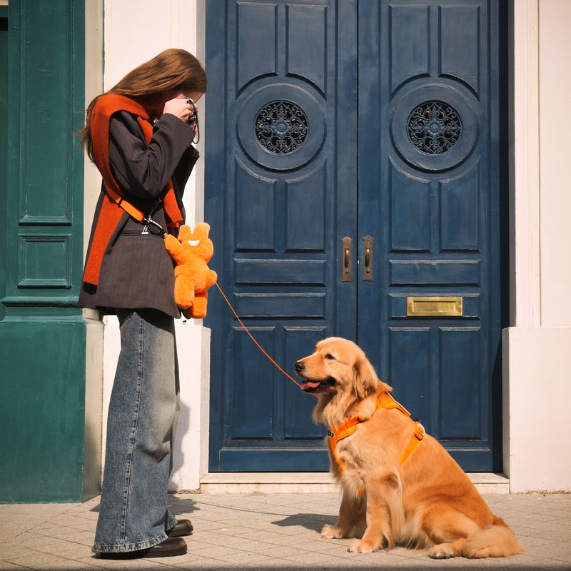 KRBOBO TWINNING WALK KIT
