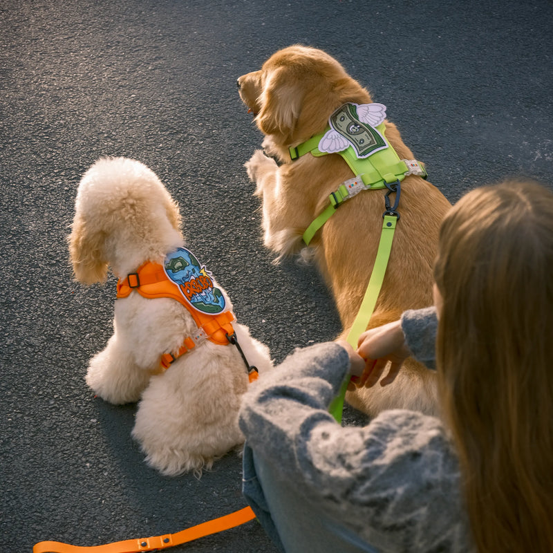 KRBOBO HARNESS WALK KIT