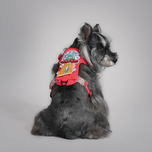 KRBOBO HARNESS