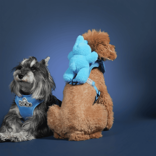 BOBO WALK KIT