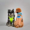 KRBOBO HARNESS