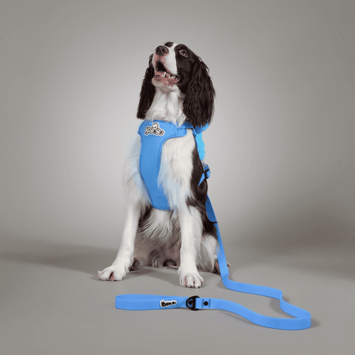 ON-THE-GO WALK KIT