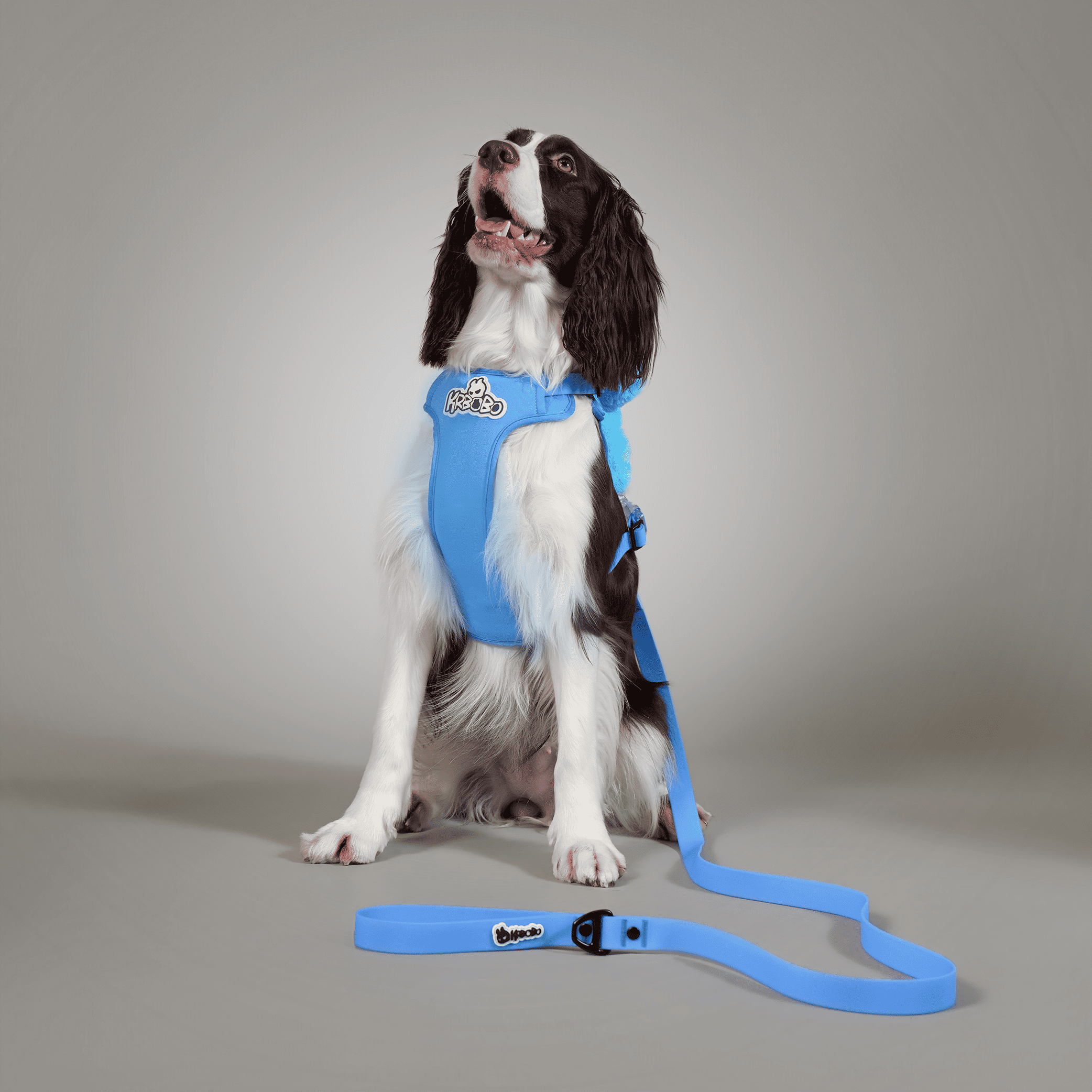 ON-THE-GO WALK KIT