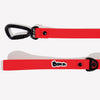 CLASSIC LEASH
