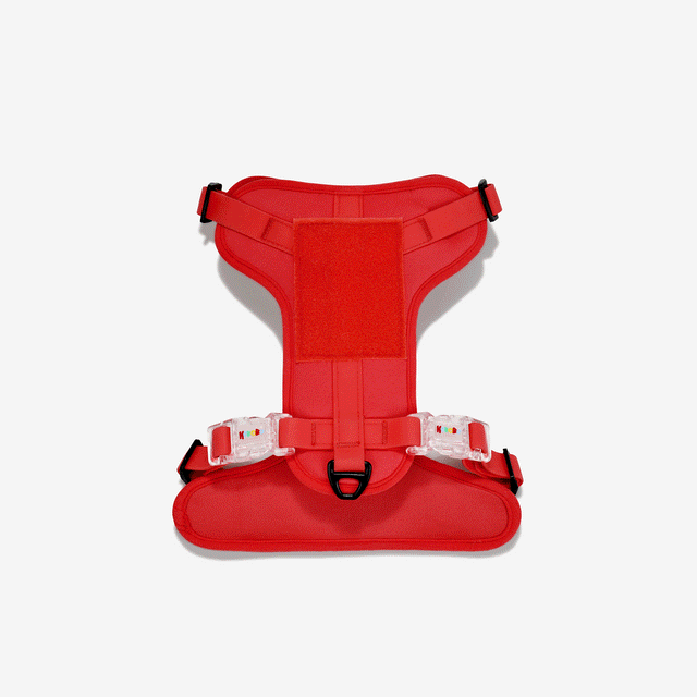 CUSHIONED HARNESS