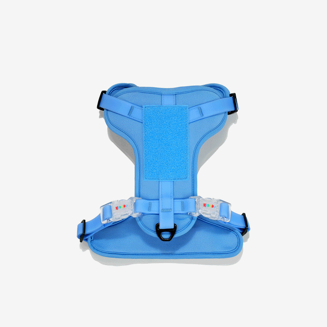 CUSHIONED HARNESS