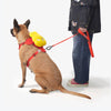 DOG'S BAG