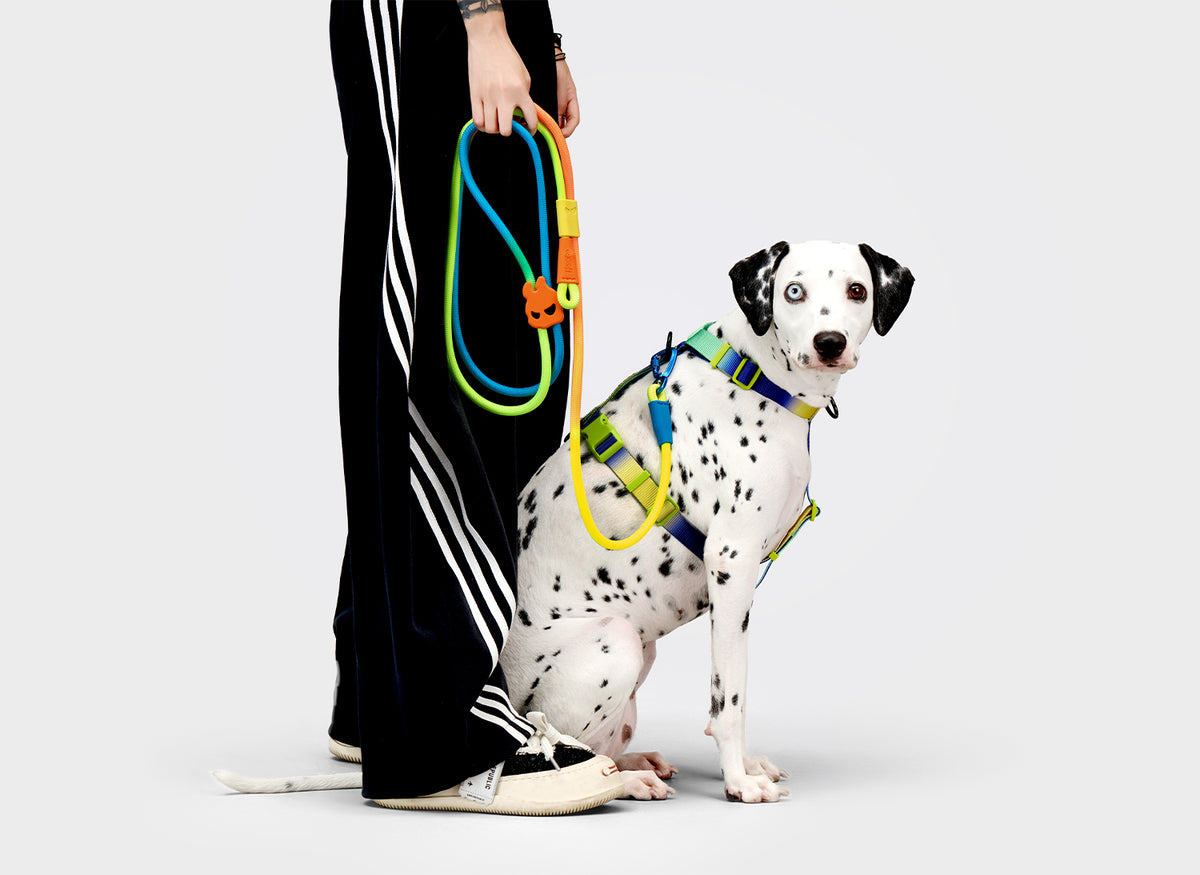 Wear It Your Way