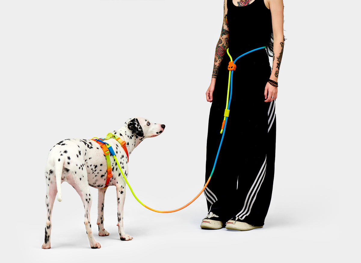 Hands-Free Walking