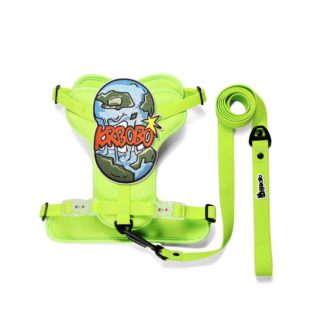 ON THE GO WALK KIT