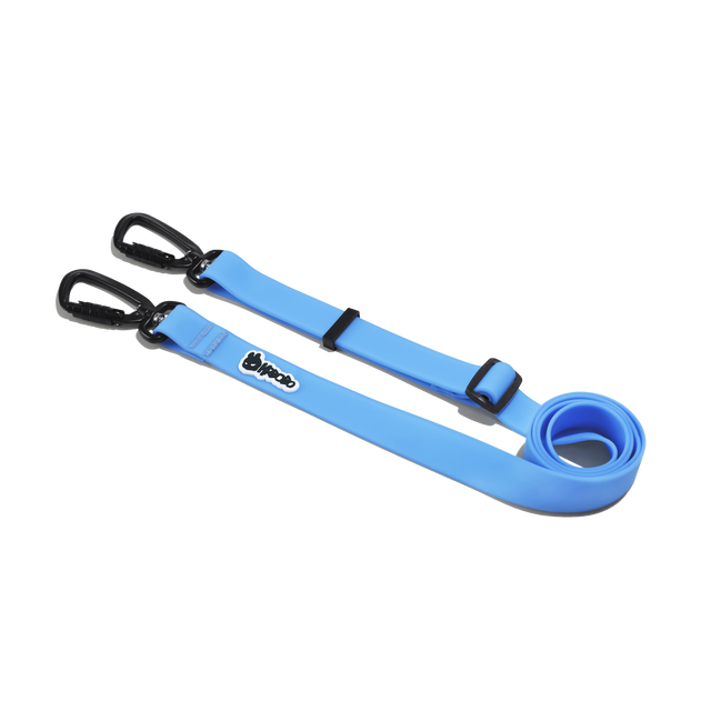 MULTIFUNCTIONAL LEASH